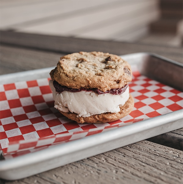 ice cream sandwich ice cream sandwich