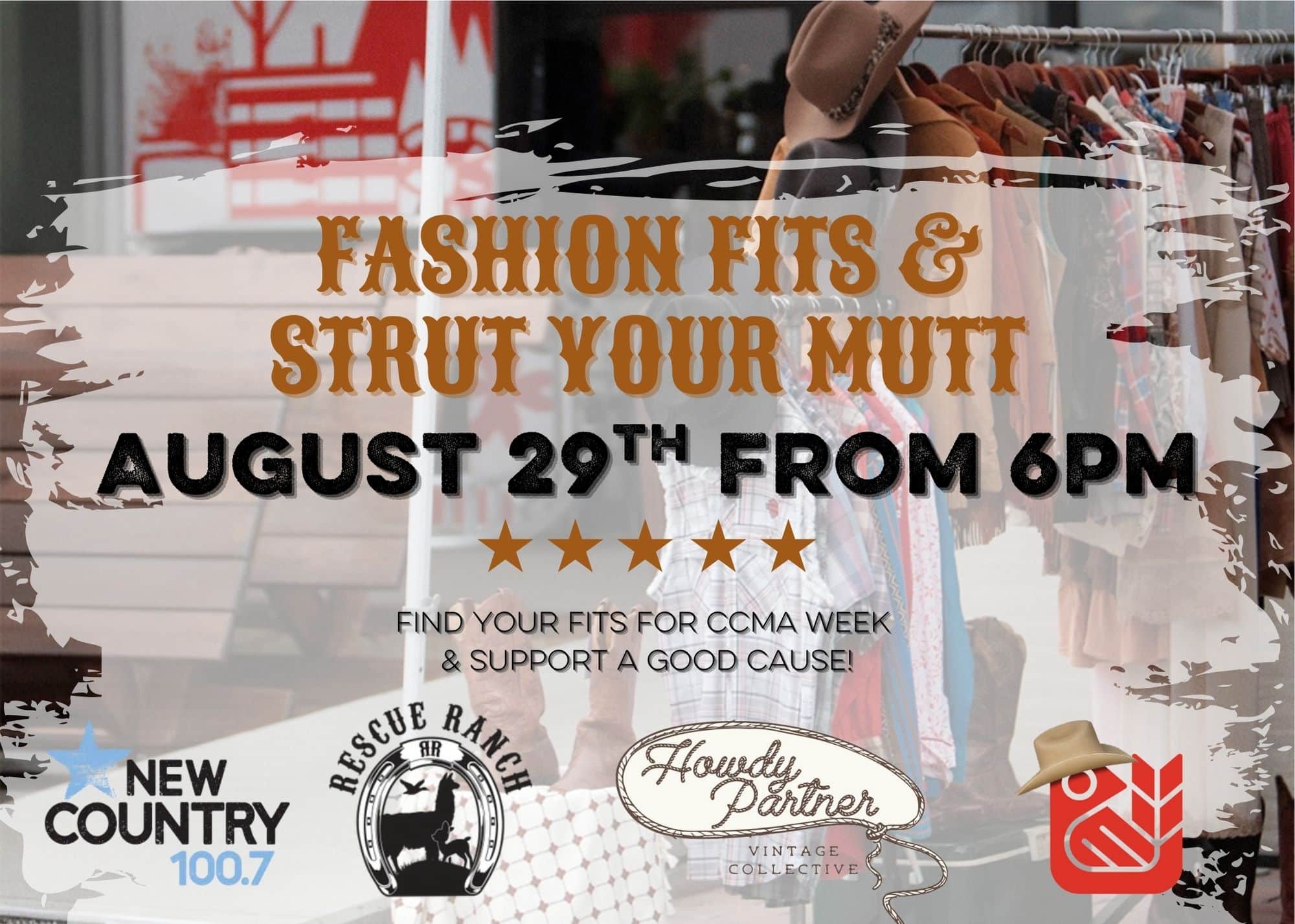 fashion fits strut your mutt