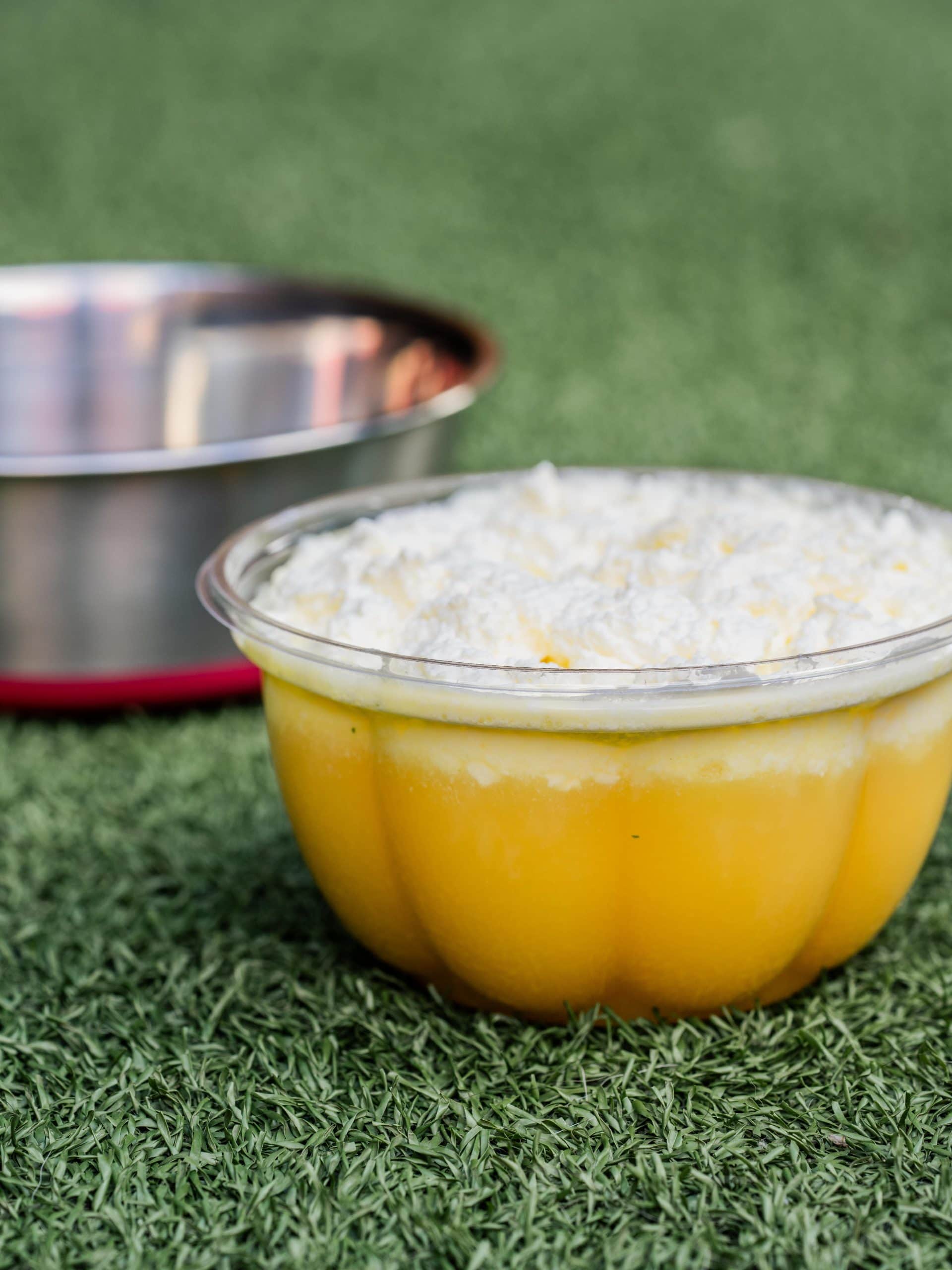 Dog Beer at Red Bird Brewing Kelowna