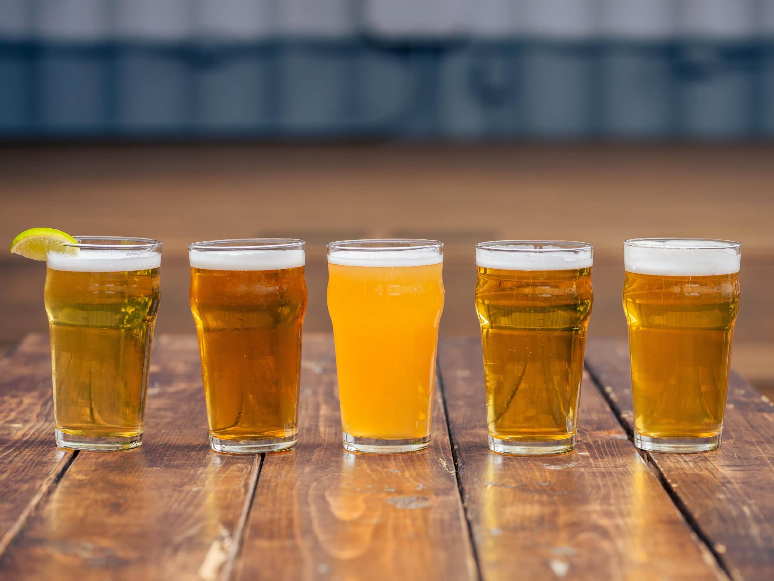 Beer Lineup at Red Bird Brewing Kelowna