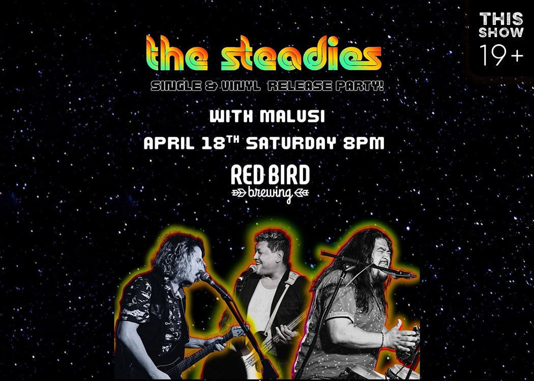 steadies vinyl release party with malusi at red bird