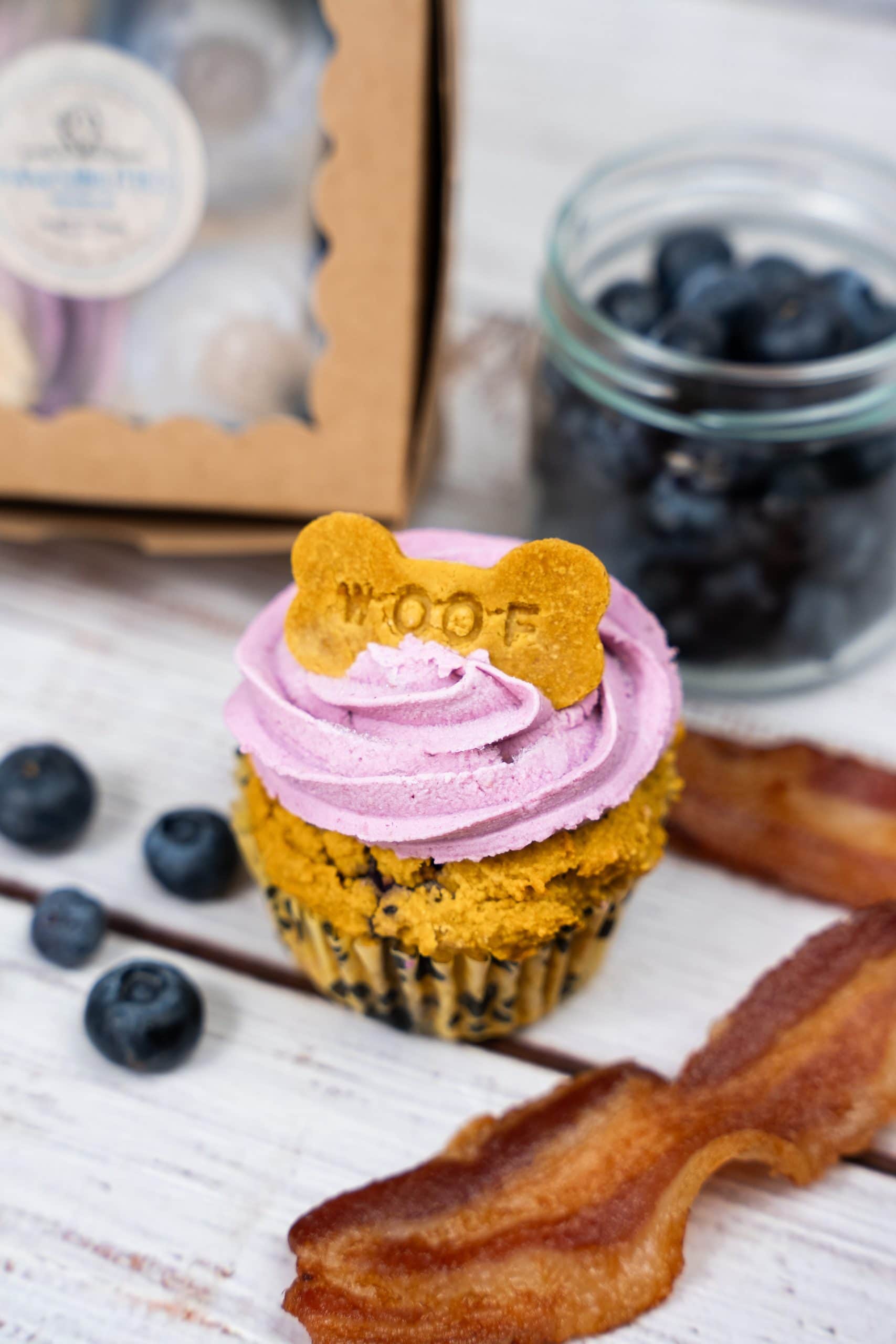 pawsibilities terrana kaitlyn.pupcake