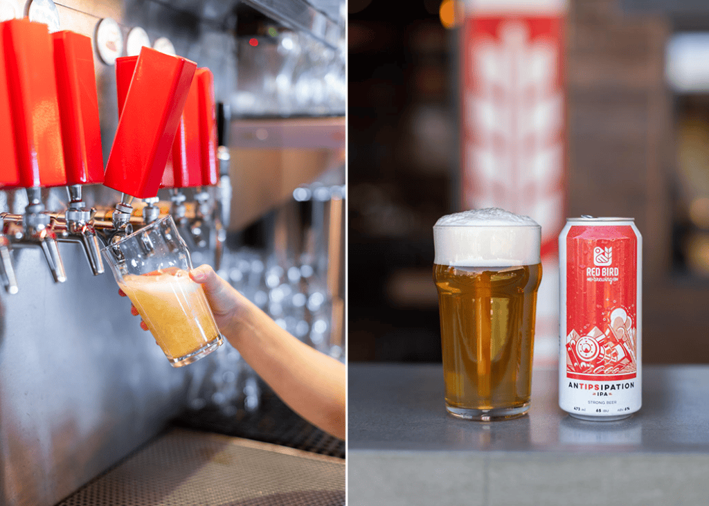 antipsipation ipa beer on tap and cans at red bird brewing kelowna