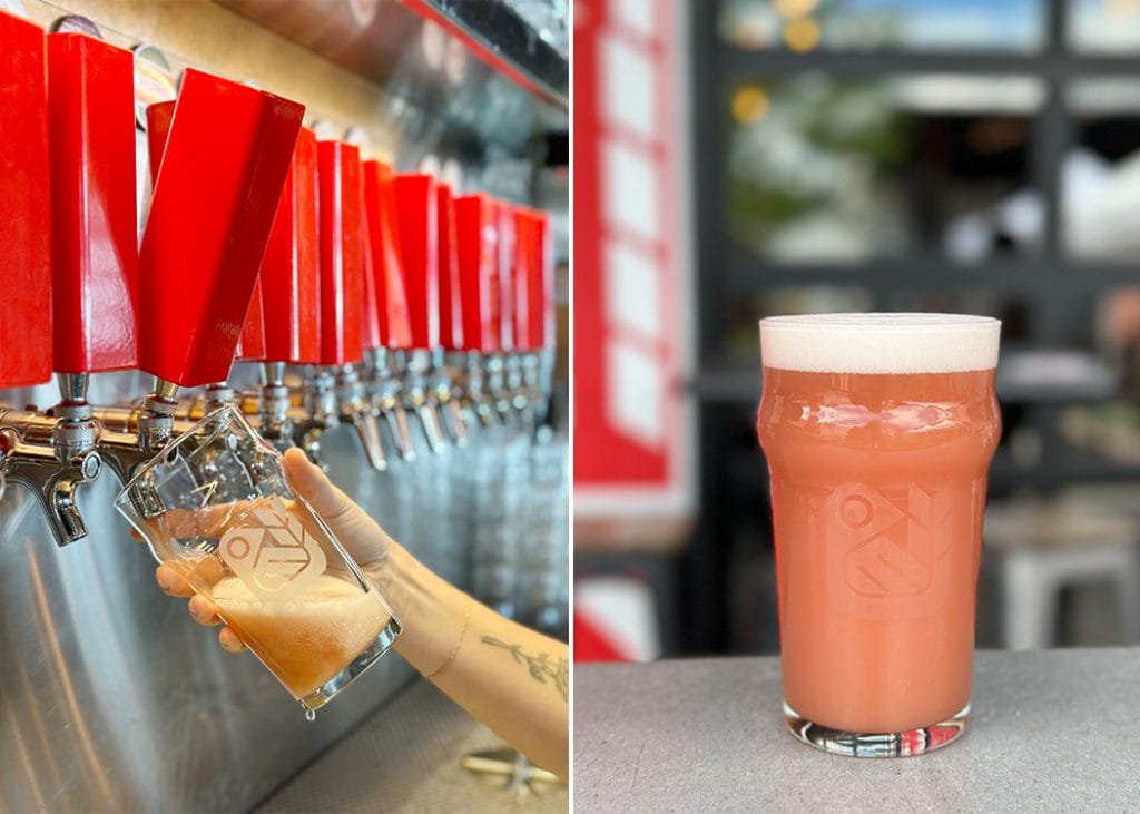 jam session sour new summer beer on tap at red bird brewing kelowna