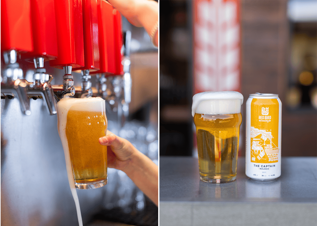 the captain kÖlsch beer pouring on tap and can at red bird brewing kelowna