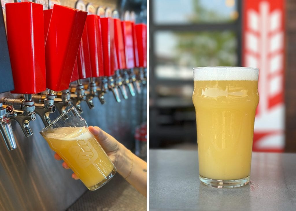 faux fuzz hazy pale ale