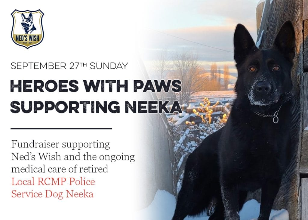 heroes with paws supporting neeka