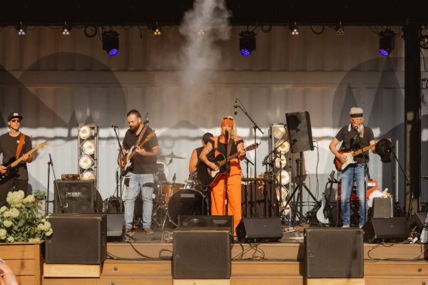 NESTFEST 25' - Photos from Day 2