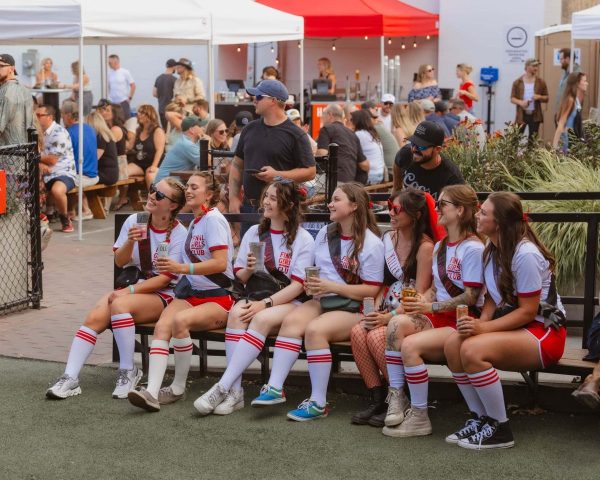 NESTFEST 25' - Photos from Day 2